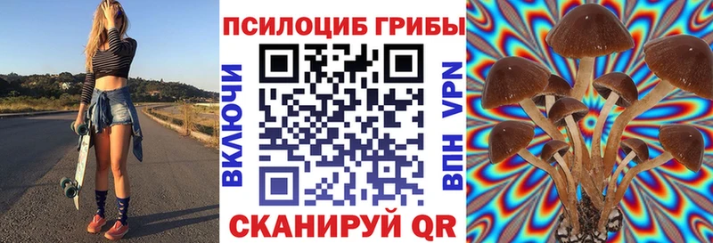 что такое   Сыктывкар  Псилоцибиновые грибы MAGIC MUSHROOMS 