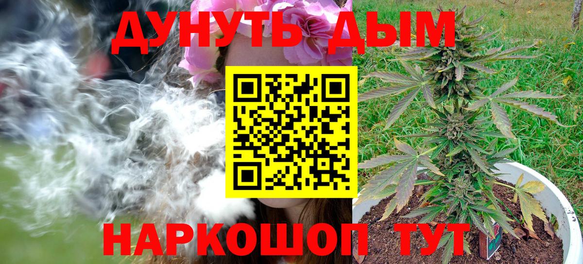 Марихуана сатива Сыктывкар